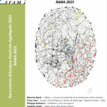 RAMA 2025 – Rencontres d’Analyse Musicale Appliquée 2025