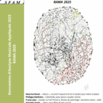 RAMA 2025 – Rencontres d’Analyse Musicale Appliquée 2025